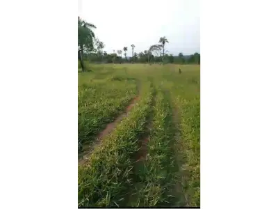 Campo de 20 hectares à venda em Ybycuí, Paraguarí 3