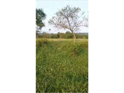Campo de 20 hectares à venda em Ybycuí, Paraguarí 4
