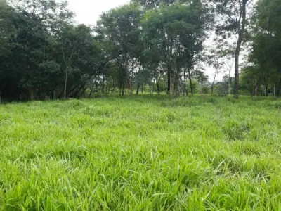 Campo de 20 hectáreas en venta — RI 3 Corrales, Caaguazú 4