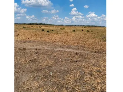 Fazenda de 200 ha à venda na Rota 3, San Pedro 3