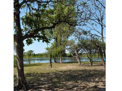 Fazenda de 200 ha à venda na Rota 3, San Pedro 4