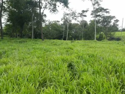 Campo de 200 hectares à venda — RI 3 Corrales, Caaguazú 2