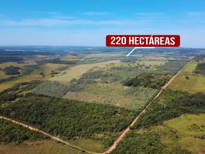 Campo de 220 hectáreas en venta en San Estanislao 3