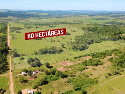 Campo de 220 hectáreas en venta en San Estanislao 4
