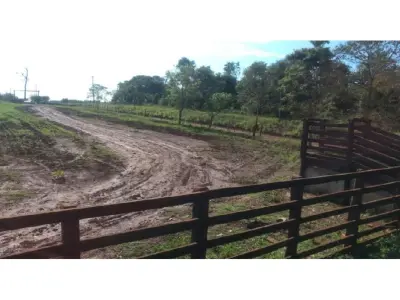 Campo de 29 hectáreas en venta en Minga Guazú, Alto Paraná 2