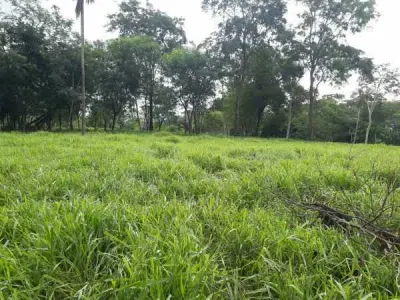 40-Hectare Rural Land for Sale — RI 3 Corrales, Caaguazú 2