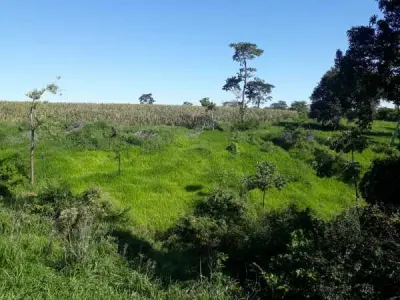 40-Hectare Rural Land for Sale — RI 3 Corrales, Caaguazú 3
