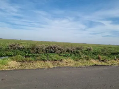 Campo de 540 hectáreas en venta en Juan de Mena, Cordillera 3