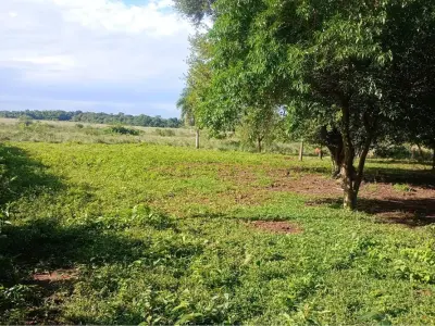 Campo de 77 hectares à venda em 25 de Diciembre, San Pedro 3
