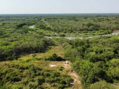 Campo para alugar no Chaco — 4.000 hectares 2