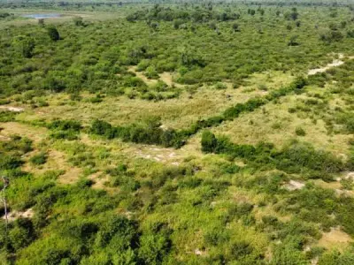 Campo para alugar no Chaco — 4.000 hectares 3