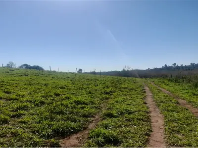 Campo en alquiler para cultivo y ganadería en Minga Guazú 3