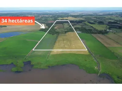 Campo en venta de 34 hectáreas en Coronel Bogado, Itapúa 3