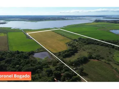 Campo en venta de 34 hectáreas en Coronel Bogado, Itapúa 4
