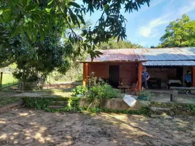 Campo en venta de 92 hectáreas en Tebicuarymí, Paraguarí 4