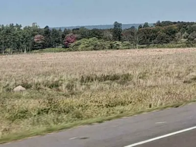 Campo en venta de 92 hectáreas en Tebicuarymí, Paraguarí 5