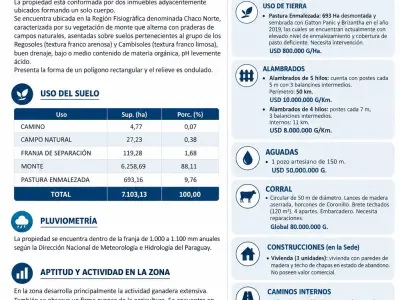 Campo en venta en Agua Dulce, Mayor Pablo Lagerenza 3
