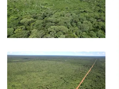 Campo en venta en Agua Dulce, Mayor Pablo Lagerenza 4