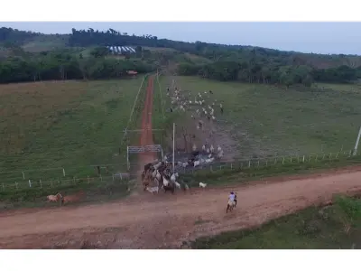Campo en venta en Arroyos y Esteros sobre el río Piribebuy 3