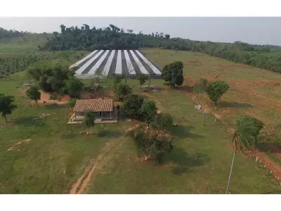 Campo en venta en Arroyos y Esteros sobre el río Piribebuy 4