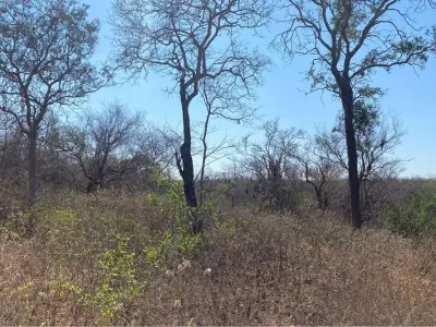 Campo en venta en Bahía Negra, Alto Paraguay 3