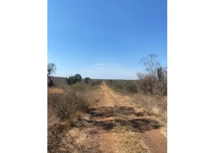 Campo en venta en Bahía Negra, Alto Paraguay 4