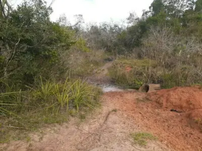 Campo en venta en Dr. Juan Manuel Frutos, Caaguazú 3