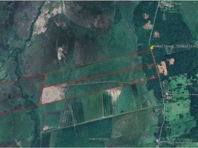 Campo en venta en Eusebio Ayala: 50 hectáreas sobre asfalto 3