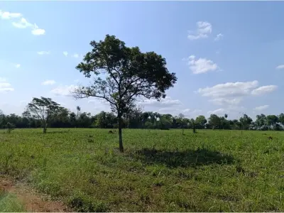 Campo en venta en Guarambaré, Central - 14.999 m² 2