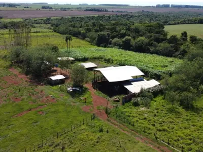 Campo en venta en Hernandarias, Alto Paraná 3