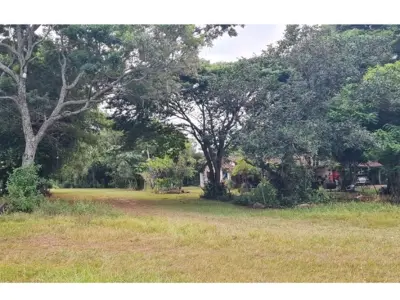 Land for sale in San Javier, Misiones 4