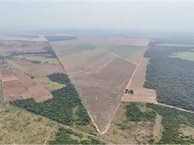 Campo en venta en San Pedro, 1030 hectáreas mecanizadas 3