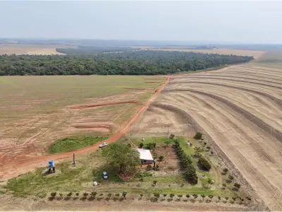 Campo en venta en San Pedro, 1030 hectáreas mecanizadas 4