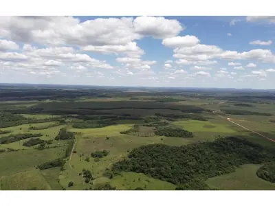 Campo ganadero en venta en Dolores, Caazapá - 2.233 has 4