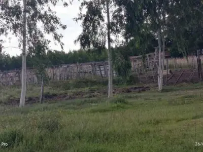 Campo pecuário à venda em Ita Yuru, San Juan Bautista — 97 hectares 4