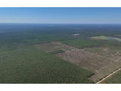 Fazenda de gado à venda em Presidente Hayes, 5.000 ha 3