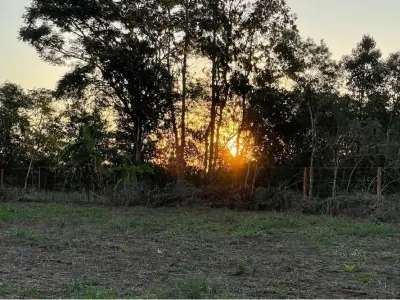 Productive 6.1 ha farm for sale in Trinidad, Itapúa 4