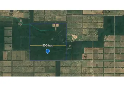 Campo virgem de 500 ha à venda em Boquerón, Chaco 2