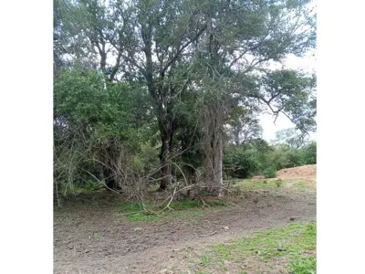 Campo virgem de 500 ha à venda em Boquerón, Chaco 4