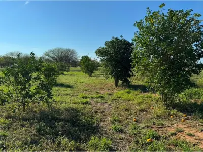 Casa a terminar en venta en Loma Plata 5