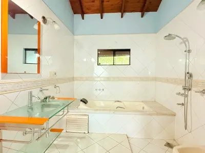 Casa con local comercial y departamento en Villa Elisa 2