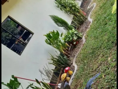 Casa de 3 Quartos à Venda no Bairro Nova Esperança, Encarnación 3