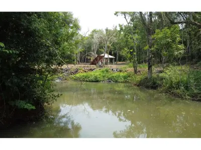 Casa de campo con arroyo en venta en Los Cedrales, 4,43 has 3