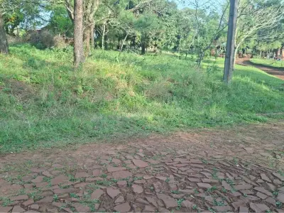 Casa de campo à venda em Colonia Guarani, Trinidad 4