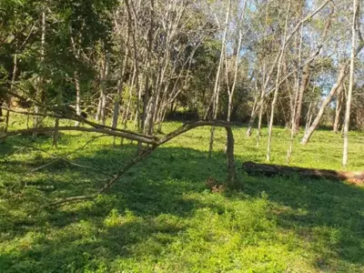 Casa de campo à venda em Mbocayaty Del Guairá, Guairá 4