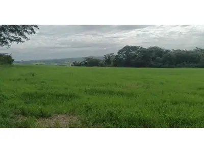 Casa de campo à venda em San Pedro del Paraná, Itapúa 2