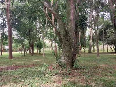 Casa à venda com 1 ha em Potrero, Itauguá 4