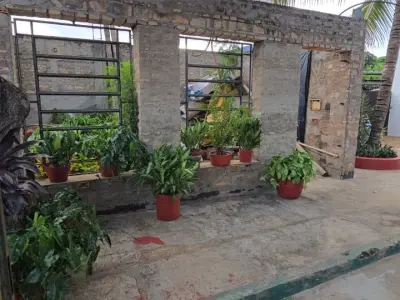 House for sale with 8 rooms in Barrio Laurelty, Luque 2