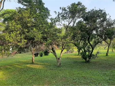 Casa en venta con 8 hectáreas en Caacupé, Cordillera 3