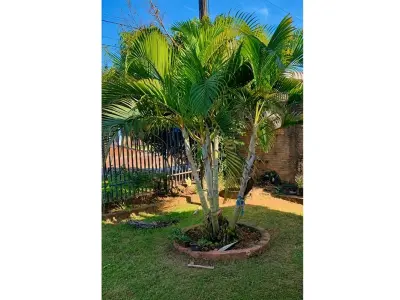 Casa en venta en Hernandarias, Mariscal López 3